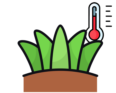 Grass Temperature